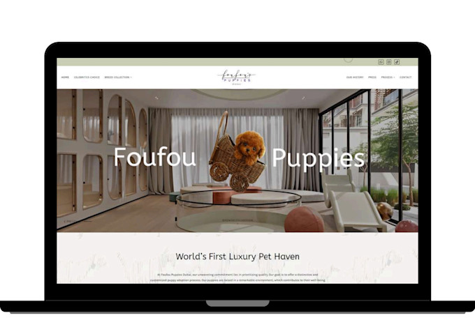 build wordpress ecommerce website or online store website